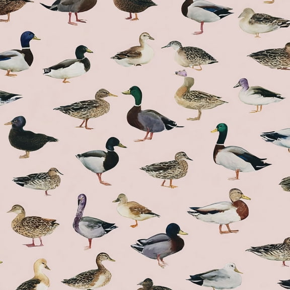 Hunt Peel and Stick Wallpaper 23.6in x 9.8ft Colorful Duck Pink Various Duck Species Contact Paper Vinyl Waterproof Self Adhesive Wall Paper for Bedroom Shelf Cabinet Renter Friendly