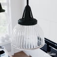 thumbnail image 1 of Hunter - Cypress Grove 1-light Natural Black Iron, Small Pendant Light, Dimmable, Transitional Style, Dome Shaped, for Bedrooms, Dining, Living Rooms - 19247, 1 of 8