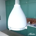 thumbnail image 1 of Hunter - Bluff View 3-light Fresh White, Medium Size Pendant Light, Dimmable, Casual Style, Bell Shaped, for Bedrooms, Dining, Living Rooms - 19216, 1 of 8