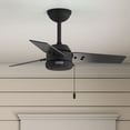 thumbnail image 1 of Hunter 36 inch Cassius Matte Black Damp Rated Ceiling Fan and Pull Chain, 1 of 15