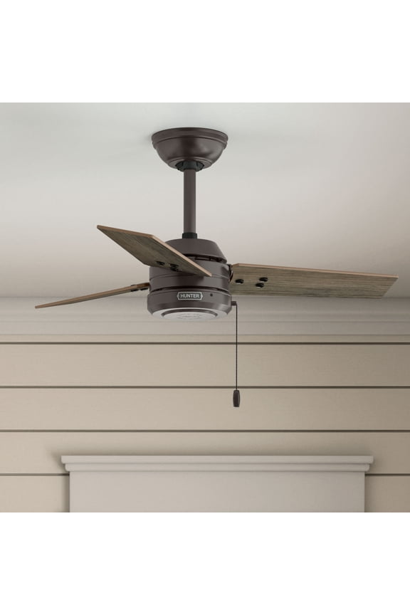 36 inch Cassius Noble Bronze Damp Rated Ceiling Fan and Pull Chain