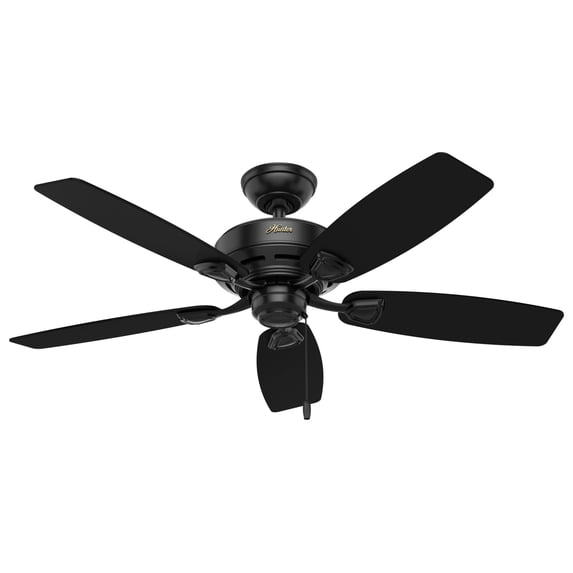 Hunter 48 inch Outdoor or Indoor Ceiling Fan No Light - Black Ceiling Fan without Light, Standard Mount, For Patio, Porch, Garage, or Living Room, 5 Blades, Pull Chain - Sea Wind 53351, Matte Black
