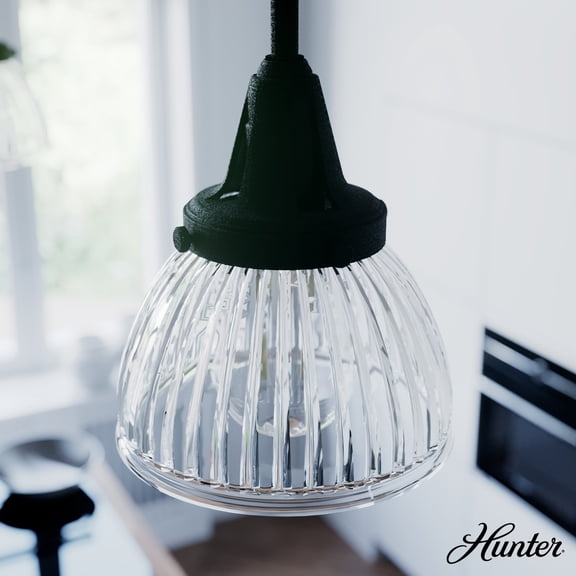 Hunter - Cypress Grove 1-light Natural Black Iron, Mini Pendant Light, Dimmable, Transitional Style, Dome Shaped, for Bedrooms, Dining, Living Rooms - 19229