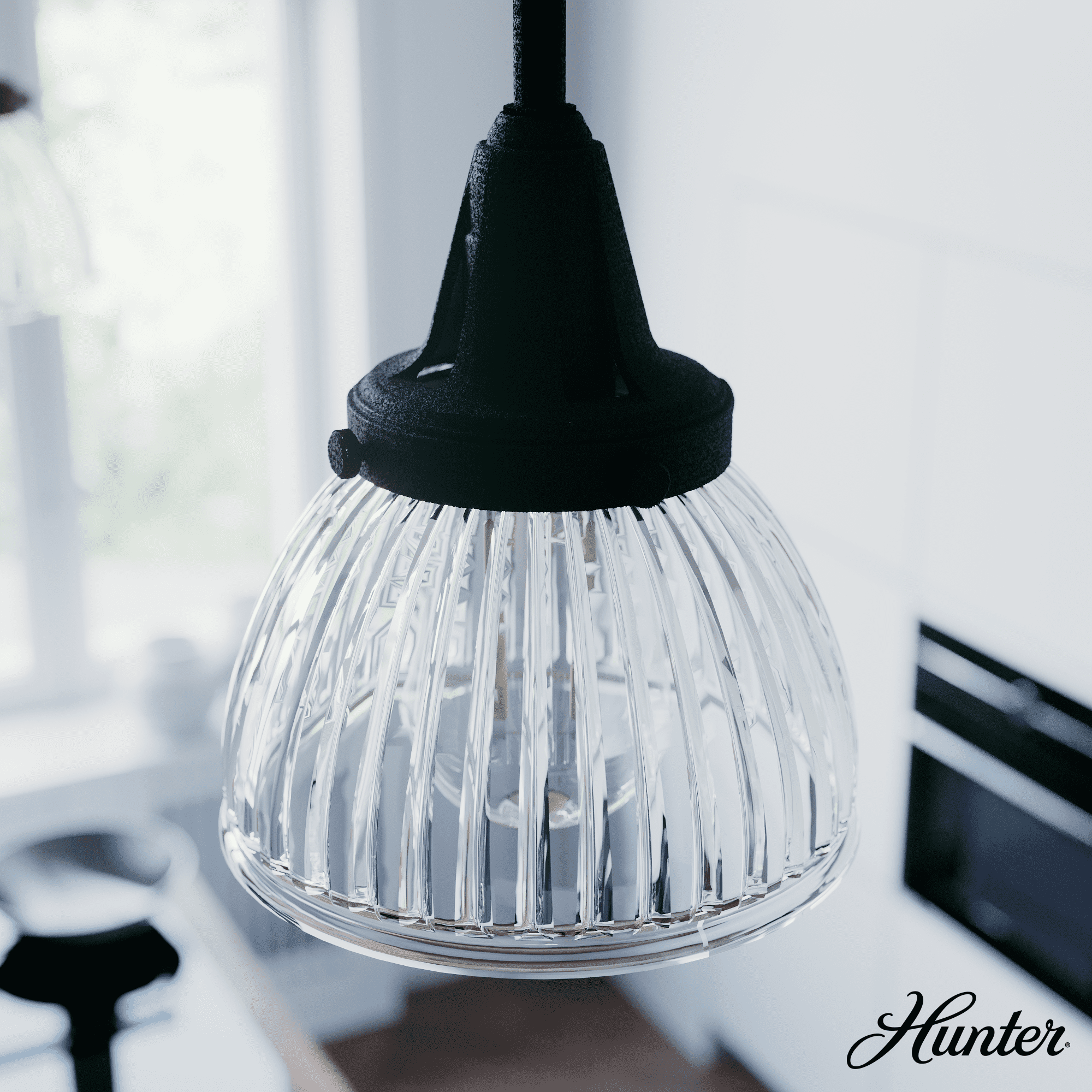 Hunter Cypress Grove Natural Black Iron Mini Pendant Light with Clear Glass Dome Shade