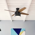 thumbnail image 1 of Hunter 52 inch Indoor Ceiling Fan with LED Light and Remote Control - Black Modern Ceiling Fan, Low Profile Mount, 4 Blades, For Bedroom, Living Room, or Kitchen, Quiet - Cranbrook 59259, Gloss Black, 1 of 17