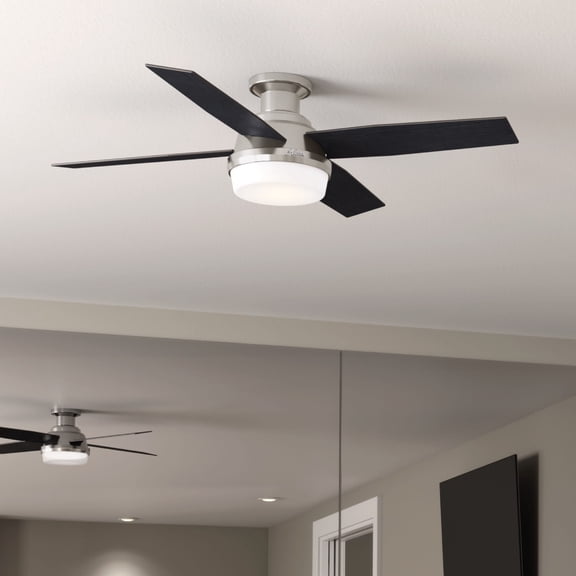 Hunter 52 inch Indoor Ceiling Fan with LED Light and Remote Control - Modern Ceiling Fan, Low Profile Mount, 4 Black Oak Blades, For Bedroom, Living Room, or Kitchen - Dempsey 59241, Brushed Nickel