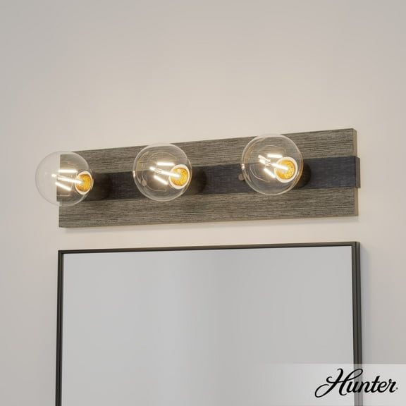 Hunter - Donelson 3-light Brushed Iron, Medium Size Vanity Light, Dimmable, Transitional Style, for Bedrooms, Dining, Living Rooms - 19773