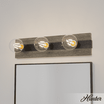 Hunter - Donelson 3-light Brushed Iron, Medium Size Vanity Light, Dimmable, Transitional Style, for Bedrooms, Kitchens, Dining, Living Rooms - 19773