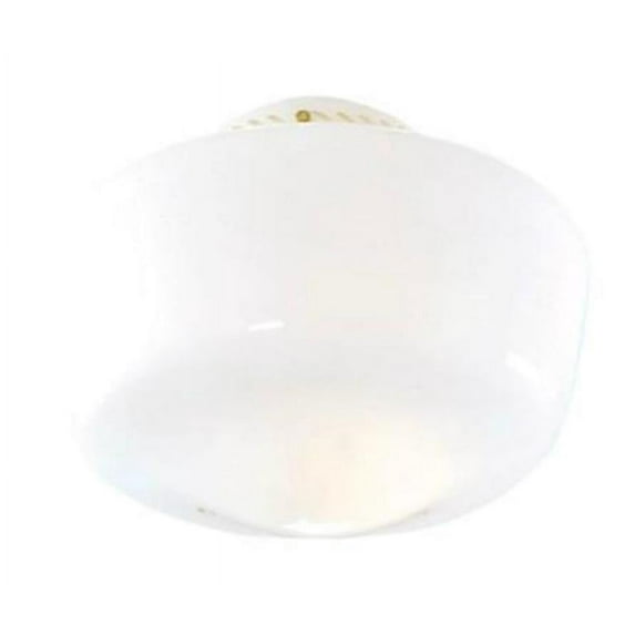 Hunter Fan Company 22555 10" Schoolhouse Globe, Opal