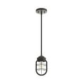 thumbnail image 1 of Starklake 1 Light Mini Pendant, 1 of 8