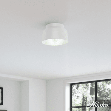 Hunter - Cranbrook 1-light Dove Grey, Medium Size Flush Mount Light, Dimmable, Modern Style, Bell Shaped, for Bedrooms, Kitchens, Dining, Living Rooms - 19022