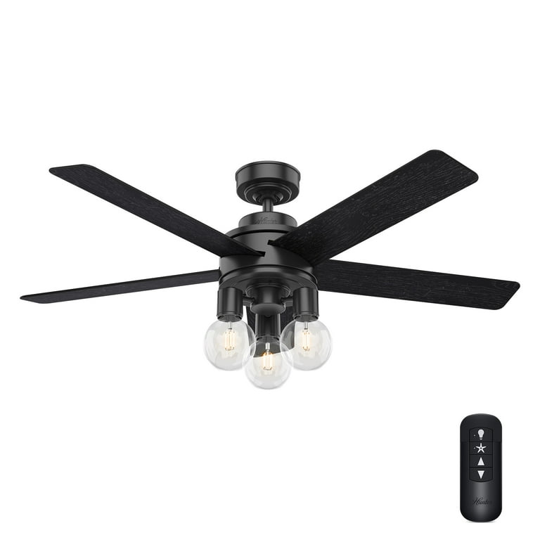 Hunter Black Ceiling Fan