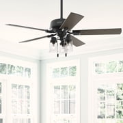 Hunter 52 inch Indoor Ceiling Fan with LED Lights - Black Ceiling Fan with Pull Chain, For Bedroom, Living Room, or Kitchen, Standard Mount, No Remote, 5 Blades - Hartland 51745, Matte Black