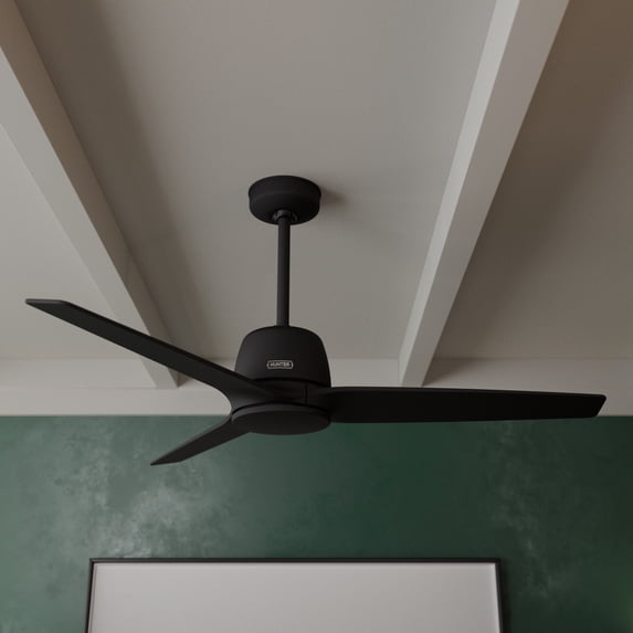 Hunter 52 inch Indoor Ceiling Fan No Light with Remote Control - Black Ceiling Fan without Light, Standard Mount, 3 Blades, For Bedroom, Living Room, or Kitchen - Malden 52606, Matte Black
