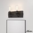 thumbnail image 1 of Hunter - Perch Point 2-light Noble Bronze, Small Vanity Light, Dimmable, Casual Style, for Bedrooms, Dining, Living Rooms - 19430, 1 of 6