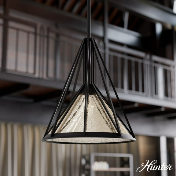 Hunter - Rafner 1-light Natural Black Iron, Medium Size Pendant Light, Dimmable, Geometric Style, Geometric Shaped, for Bedrooms, Dining, Living Rooms - 19451