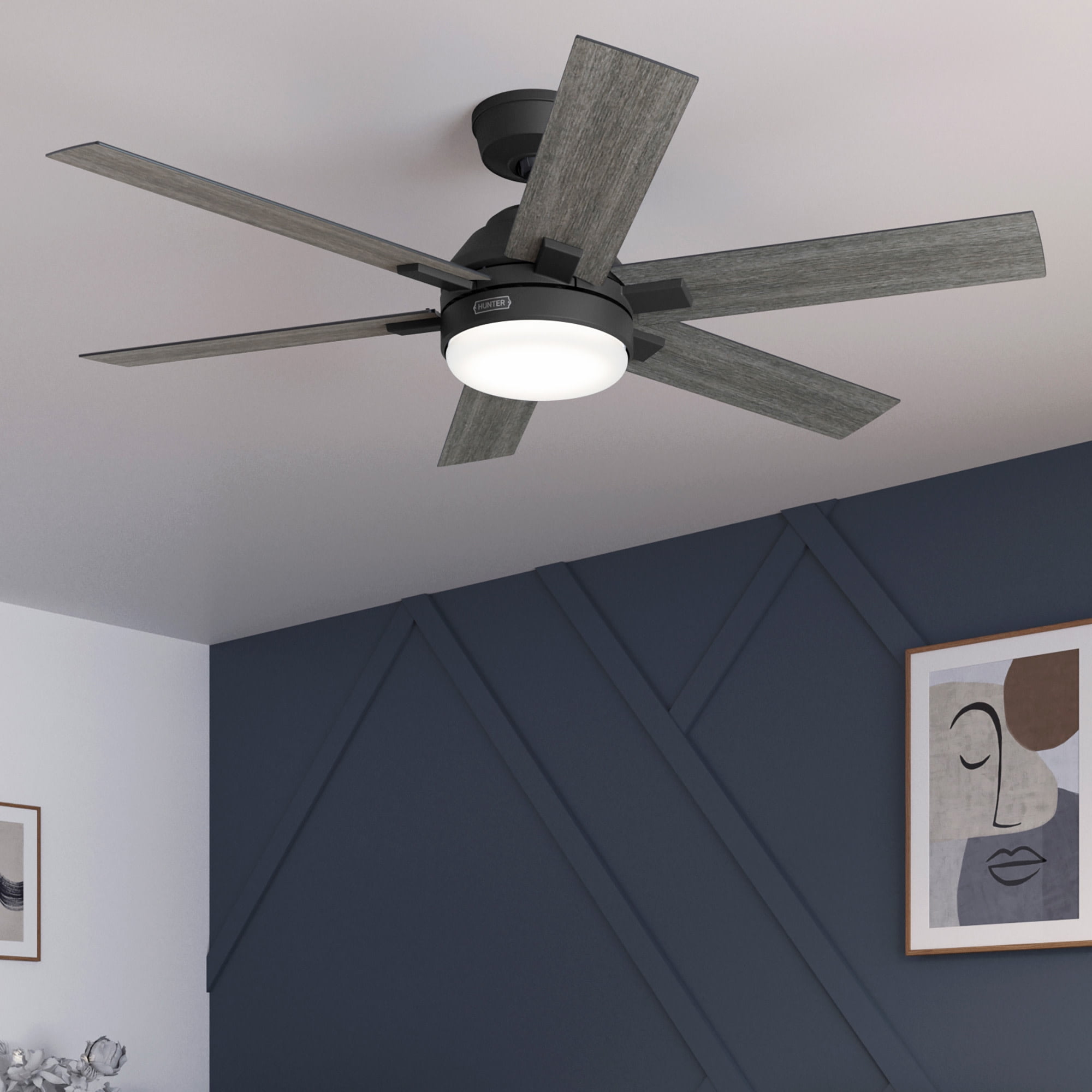 Hunter - Georgetown Indoor Ceiling Fan With Light, Remote, 52-inch