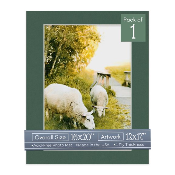 Hunter Green Picture Frame Mat for 16x20 Frames - Fits 12x17 Photos - 1 Mat