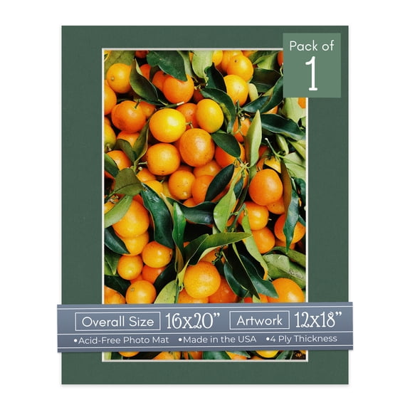 Hunter Green Picture Frame Mat for 16x20 Frames - Fits 12x18 Photos - 1 Mat