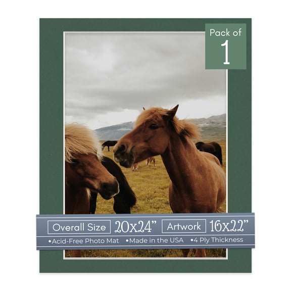 Hunter Green Picture Frame Mat for 20x24 Frames - Fits 16x22 Photos - 1 Mat