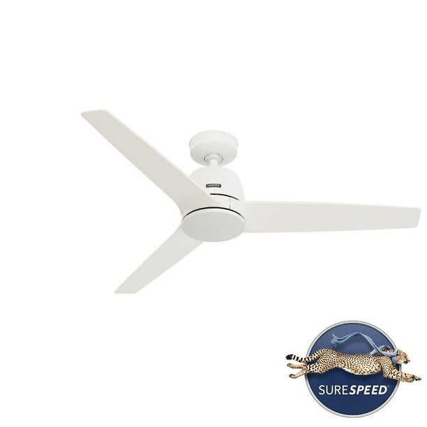 Hunter Fans Malden 3 Blade Ceiling Fan In Modern Style13.03 Inches