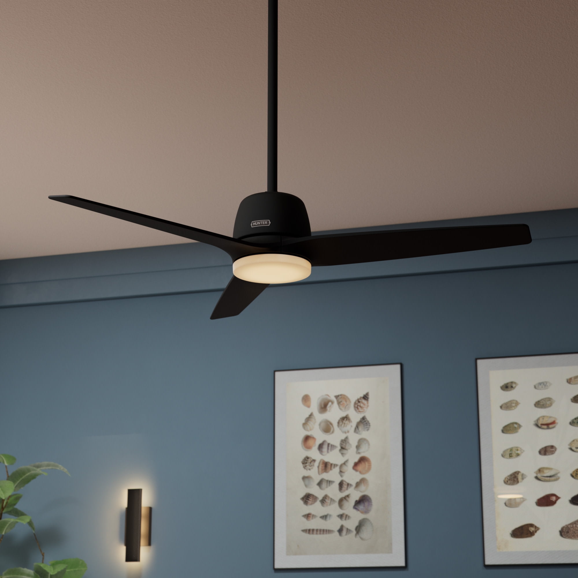 Hunter Malden Ceiling Fan - Thumbnail 4