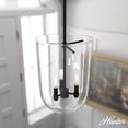thumbnail image 1 of Hunter - Sacha 3-light Natural Black Iron, Medium Size Pendant Light, Dimmable, Modern Style, Urn Shaped, for Bedrooms, Dining, Living Rooms - 19318, 1 of 9