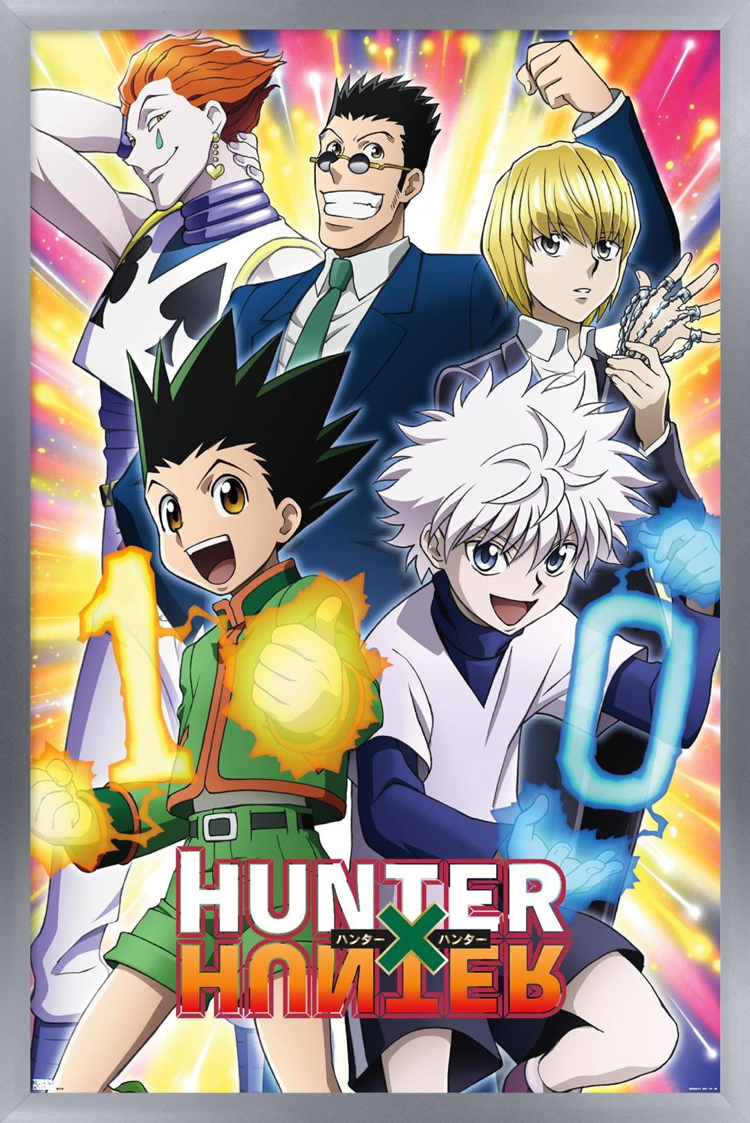 Hunter X Hunter - 10th Anniversary Wall Poster, 14.725