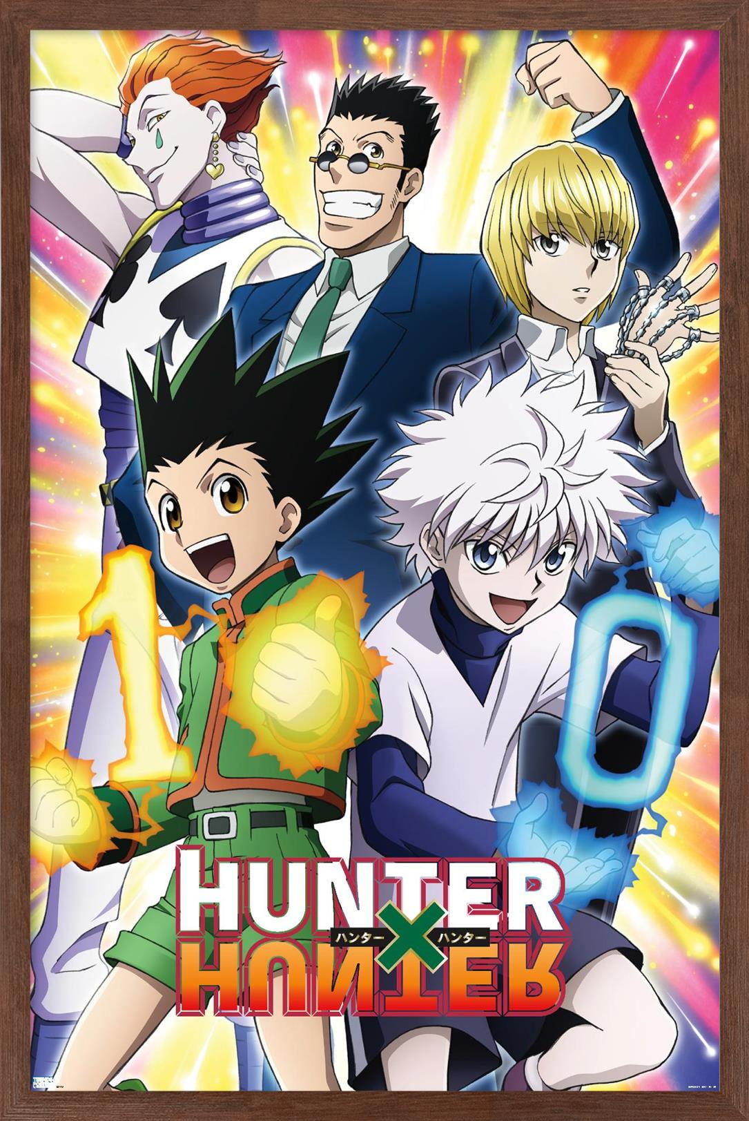 Hunter X Hunter - 10th Anniversary Wall Poster, 14.725