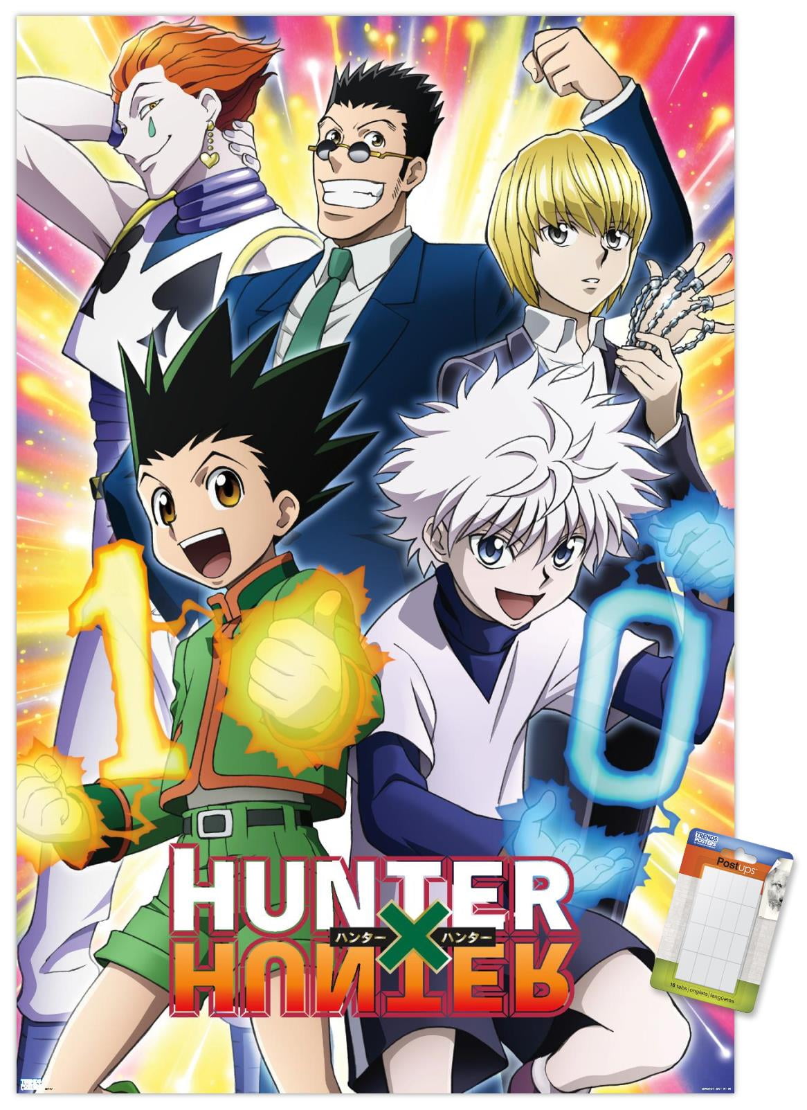 Hunter X Hunter - 10th Anniversary Wall Poster, 14.725