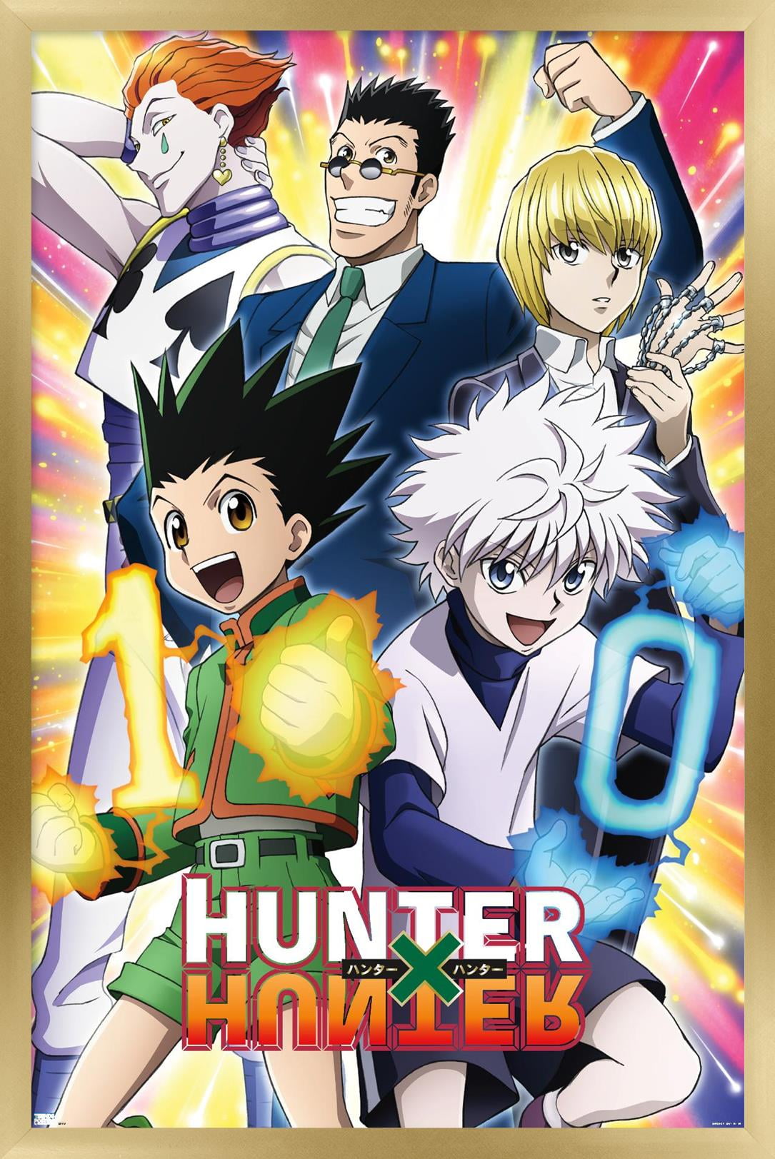Hunter X Hunter - 10th Anniversary Wall Poster, 14.725
