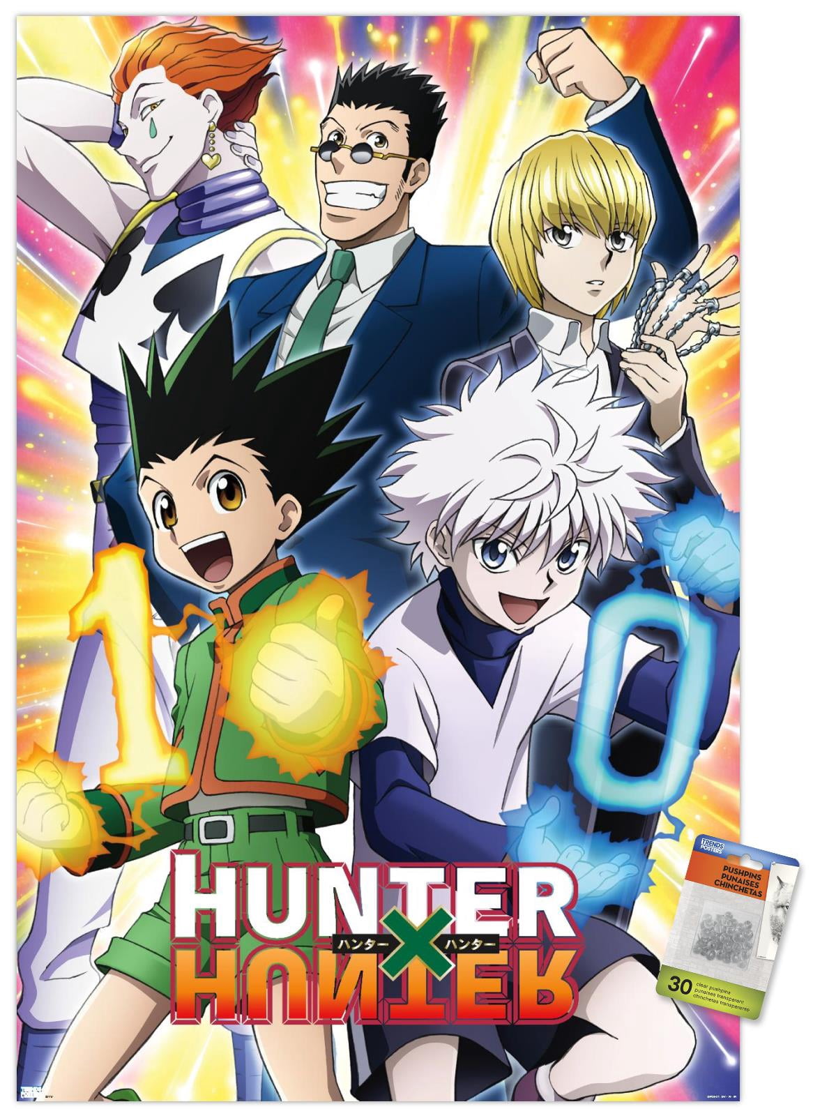 HUNTER HUNTER ポスター Hunter X Hunter - 10th Anniversary Wall Poster, 14.725