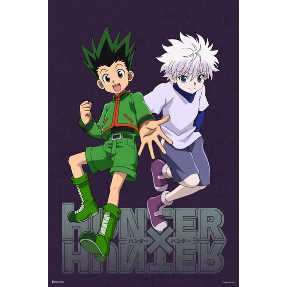 Hunter X Hunter Poster Merch Gon And Killua HXH Anime Posters Movie Manga Series Birthday Decorations Bedroom Cool Wall Art Print Poster 12x18