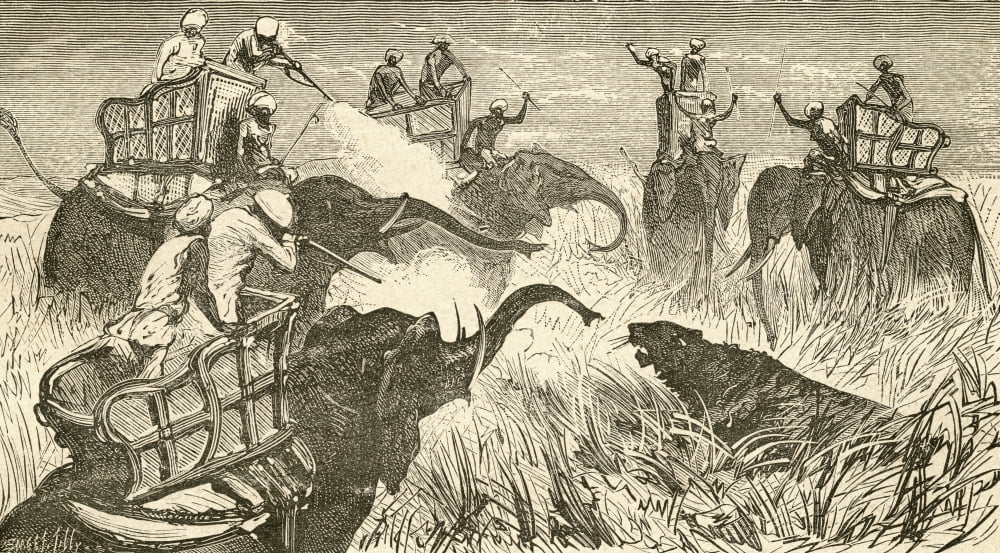 Hunters Mounted On Elephants During A Tiger Hunt In India In The 19Th Century From El Museo Popular Published Madrid 1889 Canvas Art - Ken Welsh Design Pics (38 x 20)
