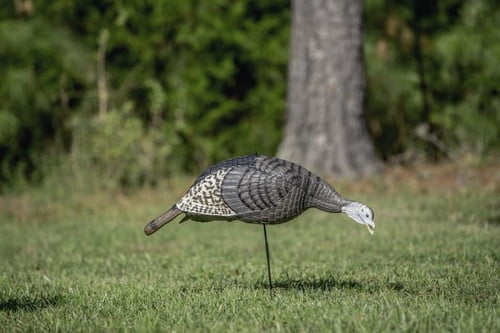 Hunters Specialties 100002 Strut-Lite Feeding Hen Turkey Decoy