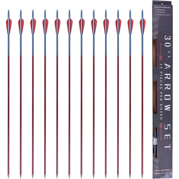 Hunting Arrows Mixed Carbon Arrow Archery Practice Shooting Plastic Vanes Fletching Removable Replaceable Broadhead Tips 12pcs I.D.6.2MM O.D.7.8mm Bright Colors Arrows for Recurve Compound Bow