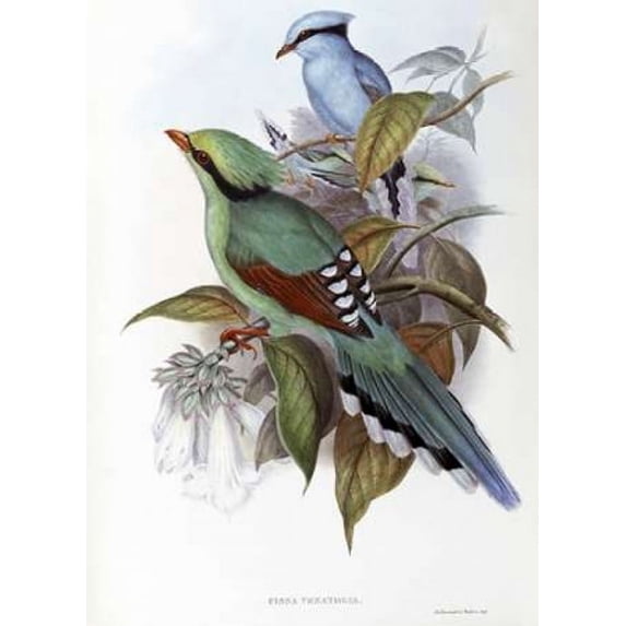 Hunting Cissa Poster Print by John Glover (18 x 24)