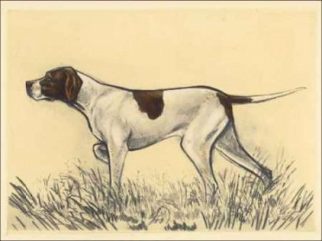 Hunting Dogs-Pointer Canvas Art - Andres Collot (18 x 24)