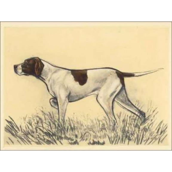 Hunting Dogs-Pointer Canvas Art - Andres Collot (18 x 24)