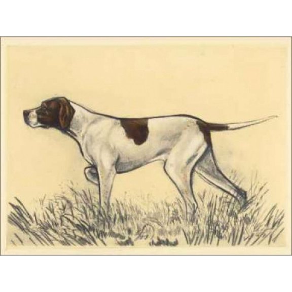 Hunting Dogs-Pointer Poster Print by Andres Collot (18 x 24)