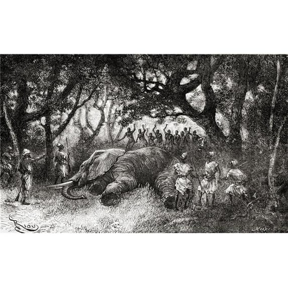 Hunting Elephants In Central Africa In The Late 19th Century From The Book Africa Pintoresca Published 1888 Poster Print, 36 x 22 - Large