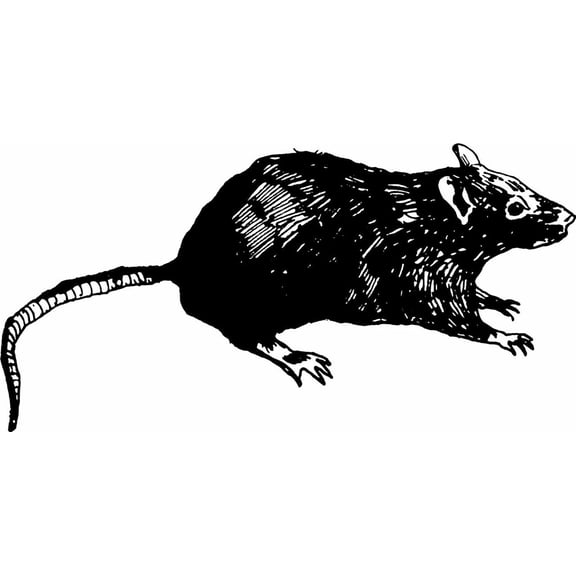 Hunting Mouse - Black & White - Picture Art - Peel & Stick Vinyl Wall Decal Sticker 12x30 Inches