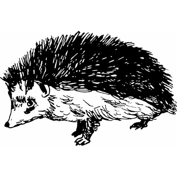 Hunting Pork - Black & White - Picture Art - Peel & Stick Vinyl Wall Decal Sticker 8x20 Inches
