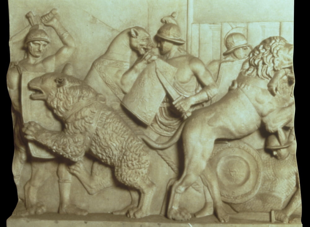 Hunting Scene Against A Lion Canvas Art - (36 x 24)