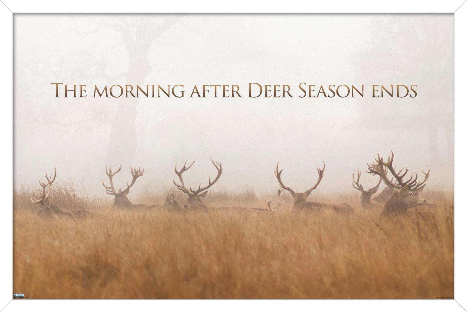 Hunting - The Day After Wall Poster, 14.725" x 22.375", Framed