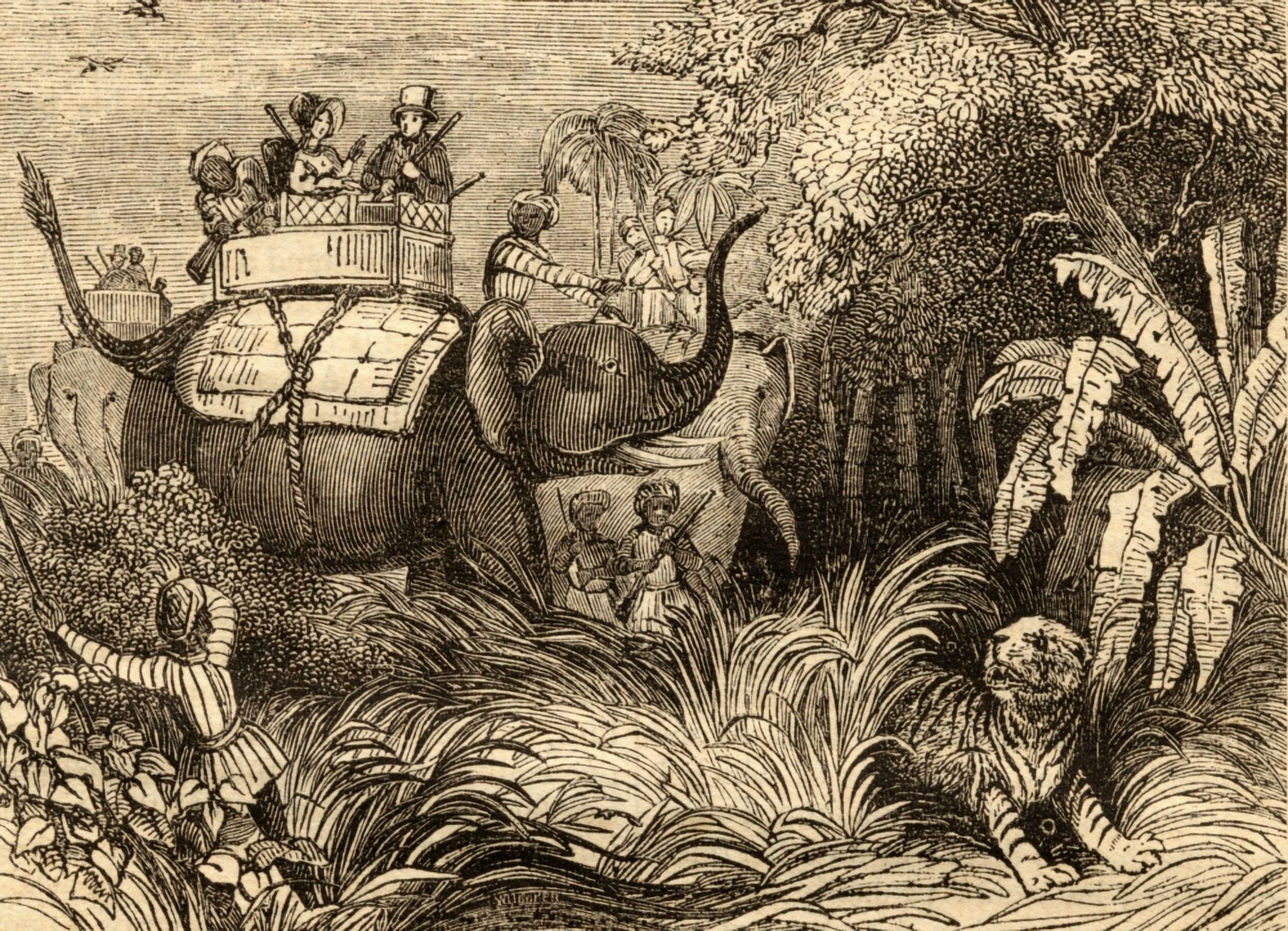 Hunting Tigers In India Canvas Art - Ken Welsh Design Pics (18 x 13)