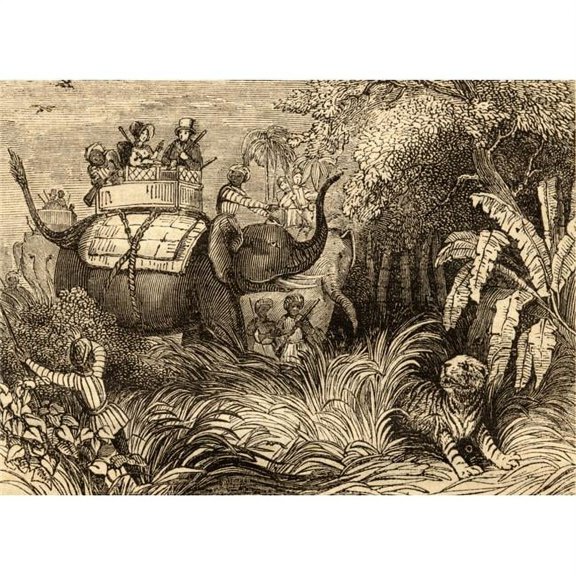 Hunting Tigers in India Poster Print - 18 x 13