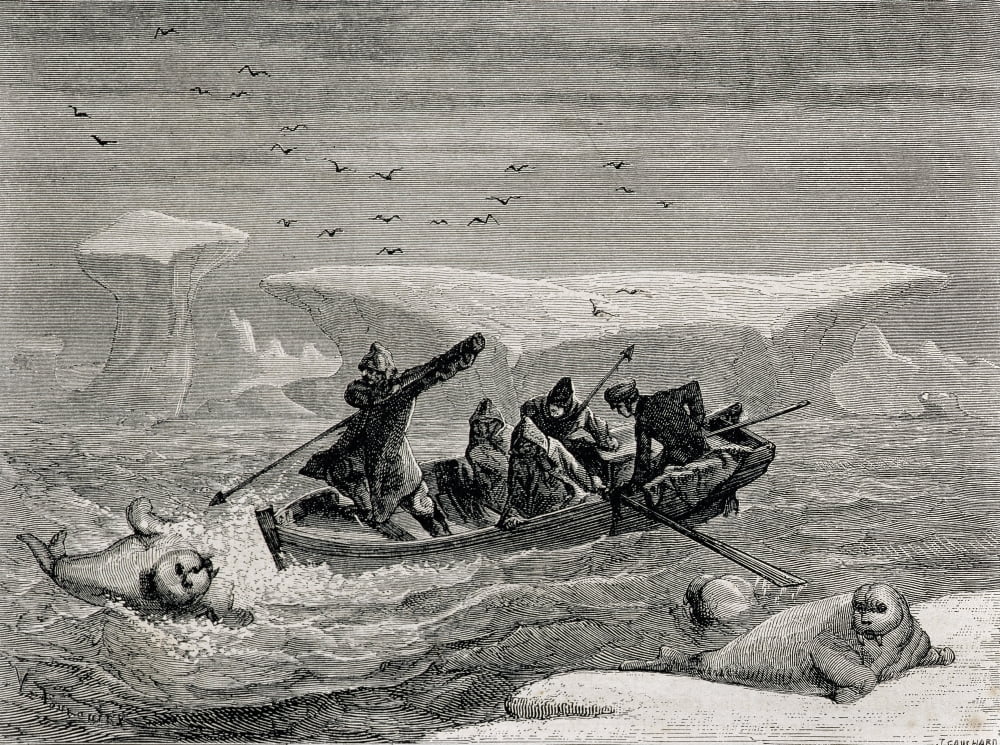 Hunting Walrus With Harpoons In The Spitsbergen Islands Svalbard Archipelago 19Th Century Engraving Canvas Art - Ken Welsh Design Pics (17 x 12)