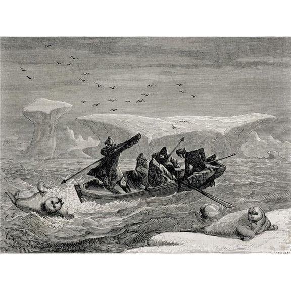 Hunting Walrus with Harpoons In the Spitsbergen Islands Svalbard Archipelago 19th Century Engraving Poster Print