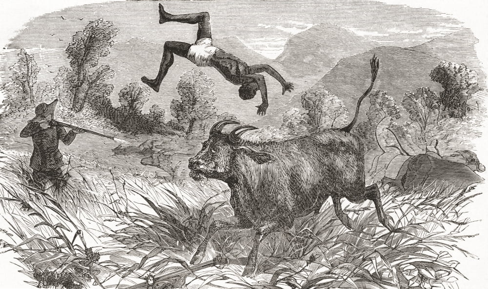 Hunting buffalo in Africa in the nineteenth century From El Museo Popular published 1887 Canvas Art - Ken Welsh Design Pics (18 x 10)